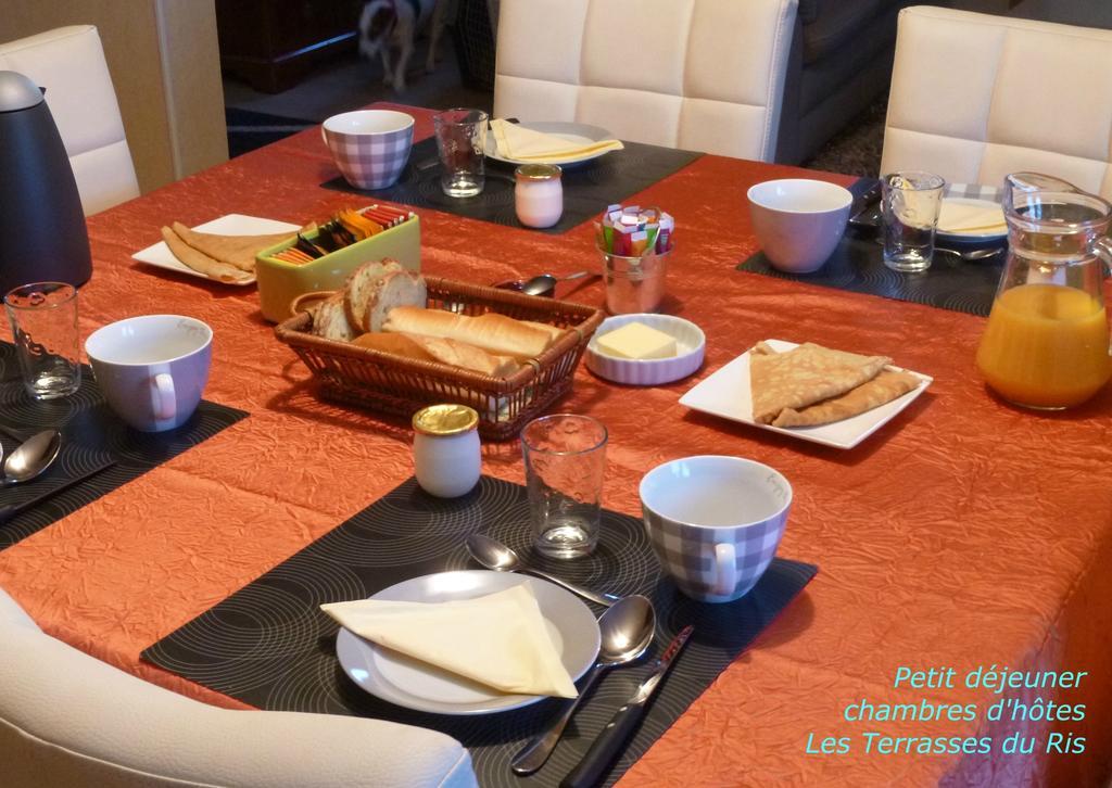 مبيت وإفطار دوارنونيه Les Terrasses Du Ris المظهر الخارجي الصورة